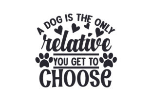A Dog is the Only Relative You Get to Choose