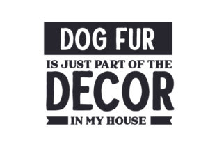 Decor in My House