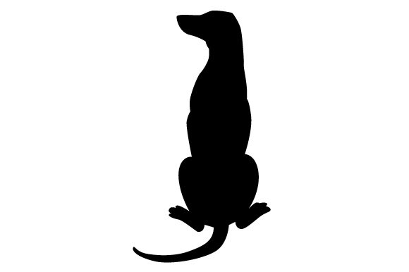 Dog Silhouette from Behind