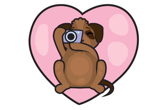 Dog Taking Photo