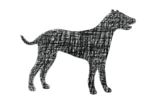 Dog with Black Line: A Designer’s Real-World Embroidery Review