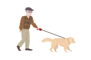 Labrador Service Dog