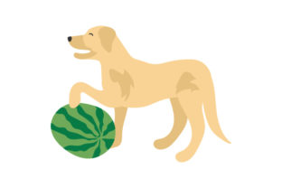 Playful Watermelon Dog Design