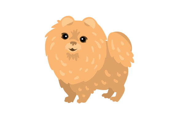 Pom-Chi Dog